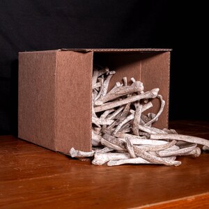 Box of Bones - Movie/Film Prop Fake Bones Variety bild 2