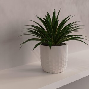 May include: A potted plant with long, pointed, dark green leaves featuring thin yellow edges. The plant is housed in a cylindrical white ceramic pot that has a textured, geometric, diamond-patterned surface around its exterior.