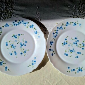 Grand Plat Ovale Arcopal Myosotis – Bleu Et Blanc, Vintage
