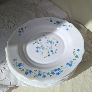 Könnte beinhalten: Ein Stapel weißer Keramikteller mit gewelltem Rand. Jeder Teller ist mit einem zarten blauen Blumenmuster verziert. Die Teller sind auf einem weißen Tuch gestapelt.