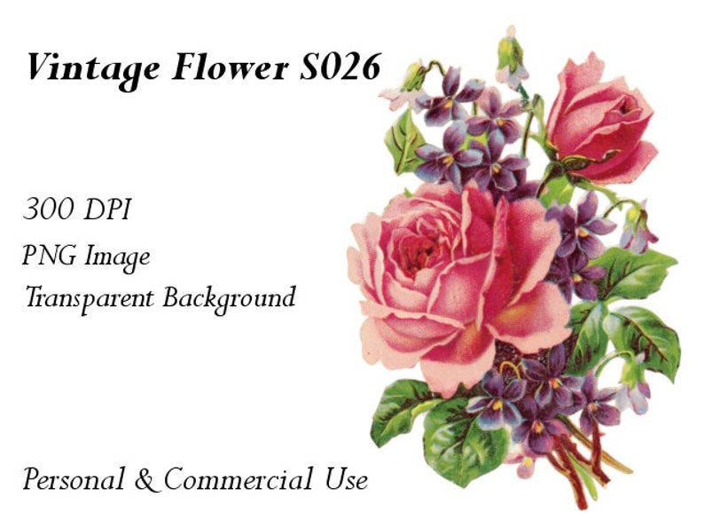 Vintage Flower Clip Art Transparent Png File S026 | Etsy