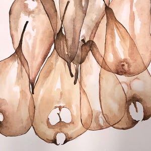 Op de afbeelding: Waterverfschilderij van verschillende peren in bruine en bruinachtige tinten. De peren overlappen elkaar, waardoor een gelaagd effect ontstaat. De handtekening van de kunstenaar, "Manolo Ponce", is rechtsonder zichtbaar. Het kunstwerk heeft een zachte, doorschijnende kwaliteit.