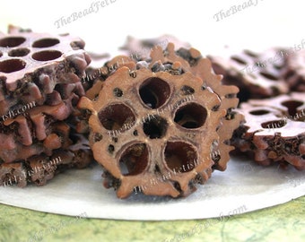 Sliced Rudraksha Seeds,  Natural Undyed Rudraksha Seeds, 5 Mukhi Rudraksha Seed Slices, Natural Seed Slices, Prayer Bead Slices  NAT-336