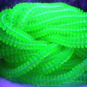 100 ~ 8mm Vintage 1990&#39;s UV Black Light Beads, Czech Glass Rondelle Spacer Beads, Vaseline Glass Uranium Glass Beads  CZ-738