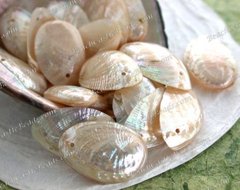 24 Small Drilled Abalone Shells, 10 to 24mm Baby Abalone Shells, Polished Undyed Abalone Shell Pendants, Sea Shell Charms SHL-108