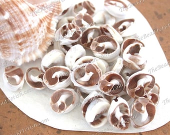 40 ~ Small Sliced Tapuk Shells, 10 to 12mm Natural Undyed Undrilled Sliced Shells, White Beige Brown Tan Gold Sea Shell Slices  SHL-070