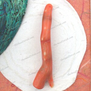 1 ~ 75 x 18.5mm Long Stick Coral Bead, Branch Coral Bead, Drilled Coral Pendant Burnt Orange Yellow Garnet Coral  SP-467-12