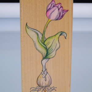 Tulip With Bulb Flower Stamp Stampede A1581F Crafters Stamp New Unused