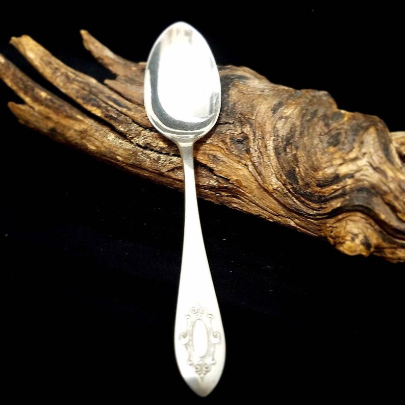 Co Medallion Pattern Silver Plate Teaspoon Vintage The W.B