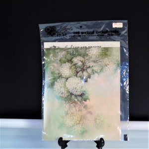 May include: A packaged art print original by Hazel's, featuring a floral design with white blooms and green foliage. The print is in a clear plastic sleeve, displayed on a black stand against a dark background.