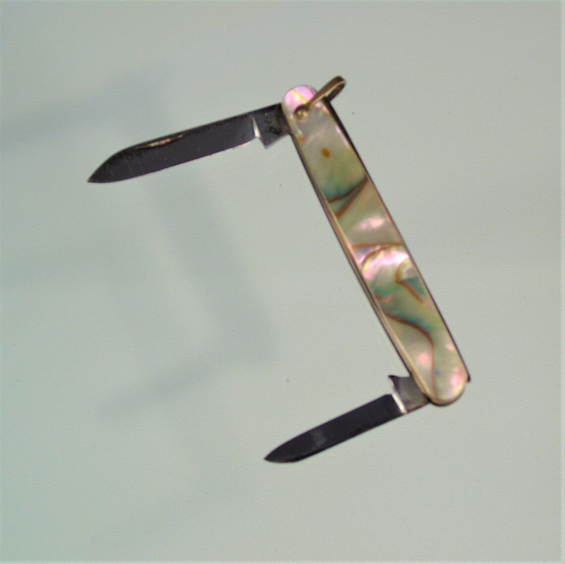 Vintage Niagara Falls 1920s SALM Pocket Knife 2 Blade Etsy