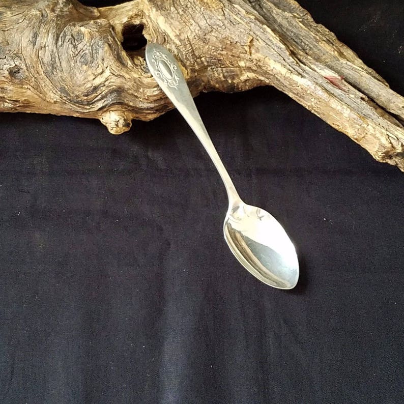Co Medallion Pattern Silver Plate Teaspoon Vintage The W.B
