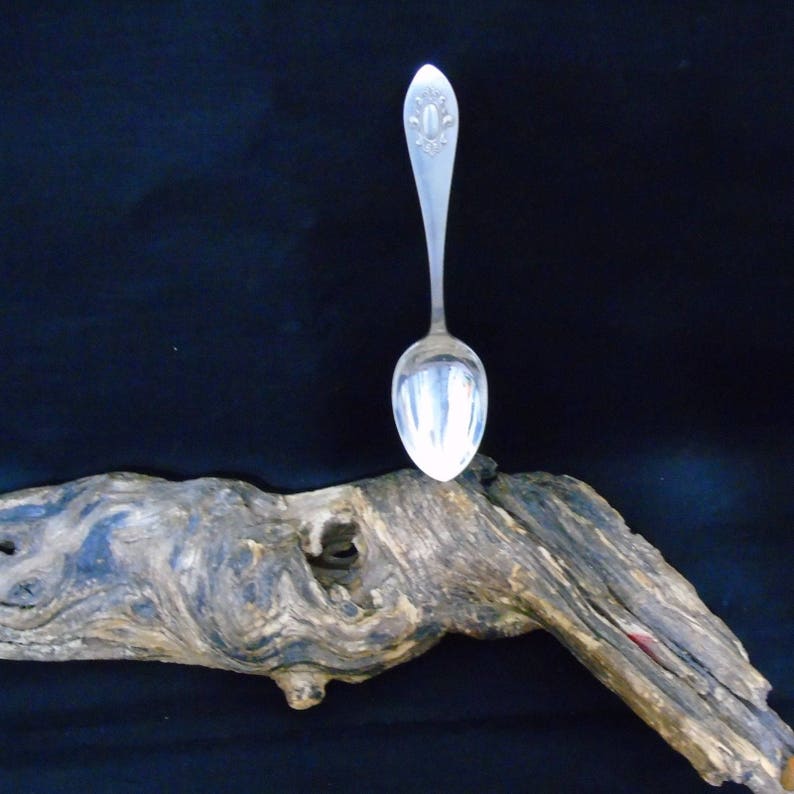 Co Medallion Pattern Silver Plate Teaspoon Vintage The W.B