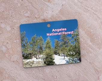 Angeles National Forest Los Angeles Metal Ornament