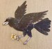 Magical Crow Blackbird Jointed Paper Dolls Kit 
