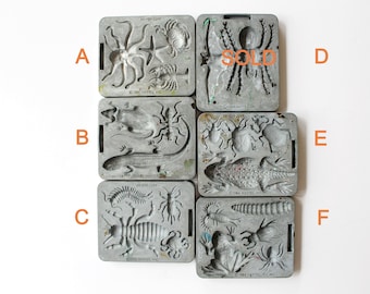 creepy crawlers for sale