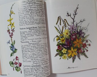 vintage Seasons in a Country Garden by Freda Fox-sketches and lovely writing