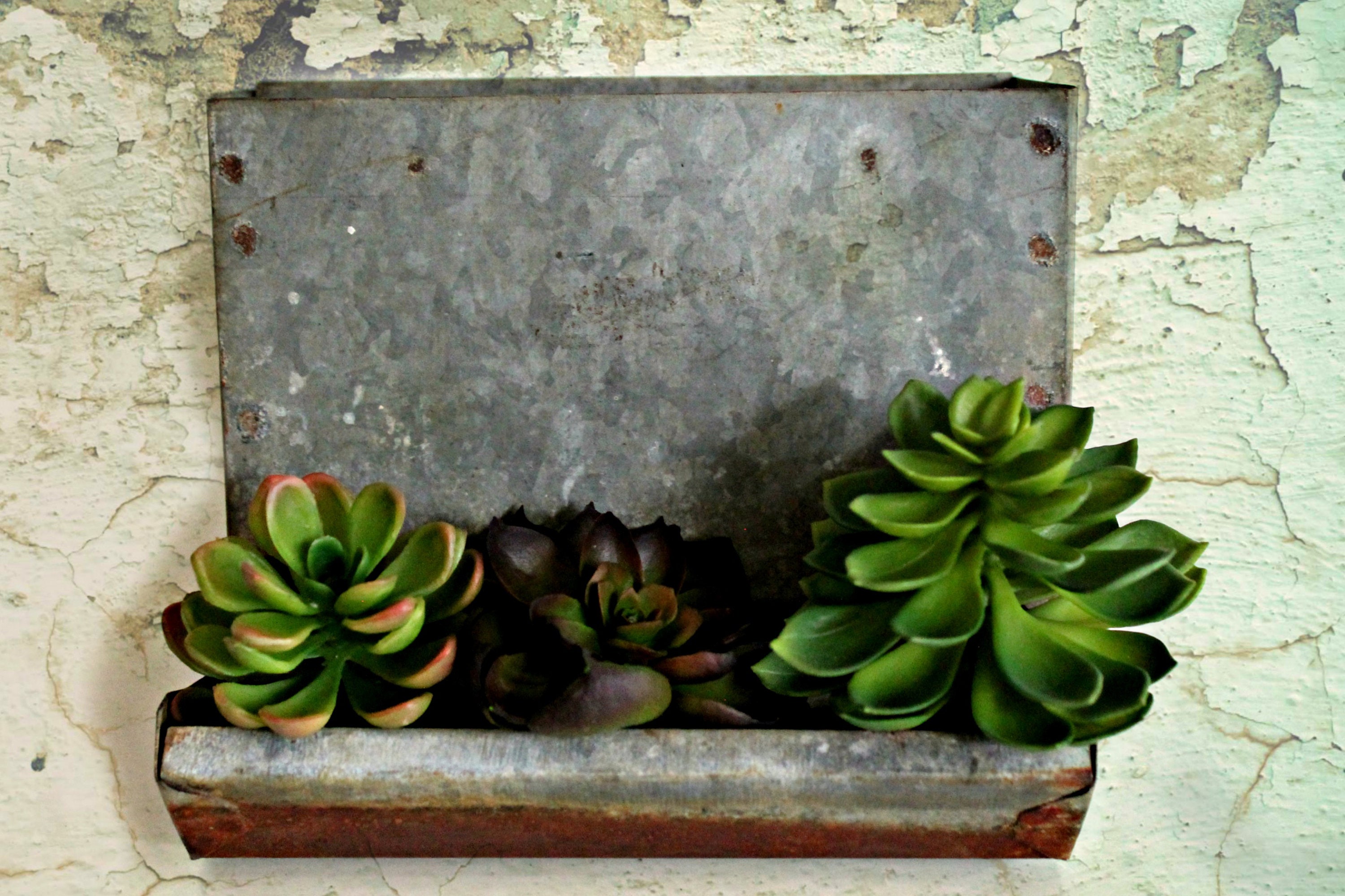 Vintage Galvanized Chicken Feeder Farmhouse Style Succulent Etsy