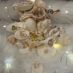 May include: A decorative arrangement of various white and cream-coloured seashells serving as a jewellery holder. The shells contain multiple pieces of jewellery, including pearl necklaces, gold-toned rings, and stud earrings, illuminated by thin string lights.
