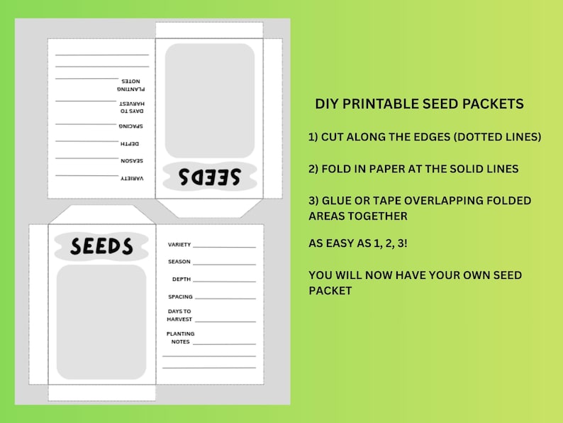 Vegetable Seed Notes Printable Seed Packet Template | DIY Seed Envelope PDF | Garden Seed ...