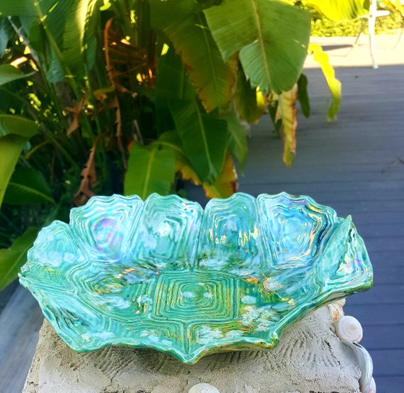 Turtle shell dish