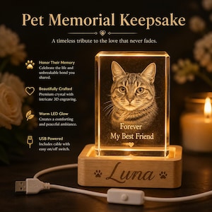 May include: A rectangular crystal block featuring a 3D laser-engraved portrait of a cat with the text "Forever My Best Friend" and a heart. The crystal sits on a light wood base engraved with the name "Luna" and paw prints, with a USB cable.