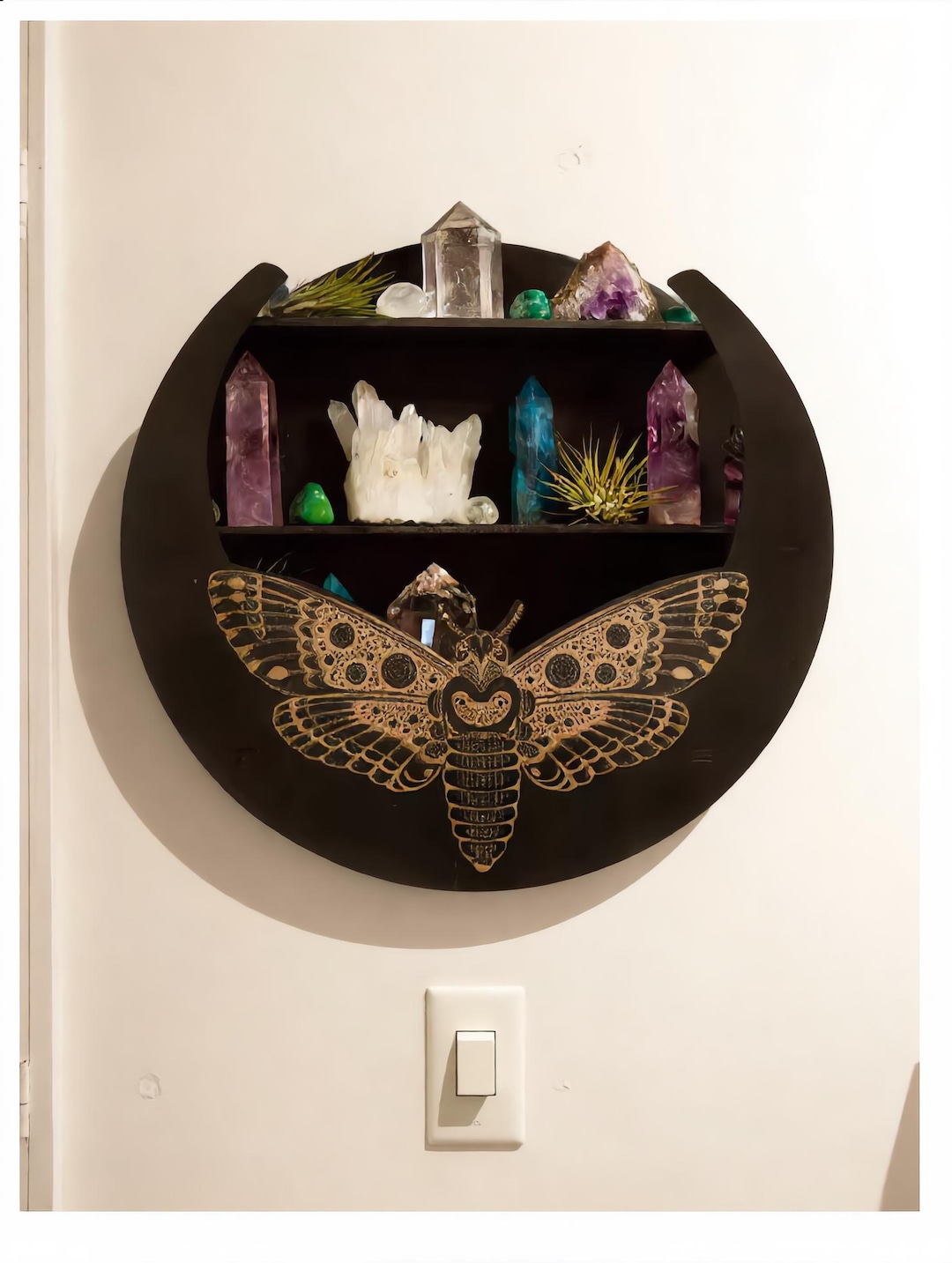 Moth Key Racks Black Moth Butterfly 3-tier Floating Shelf | Round Wall Shelf | Crystal ...