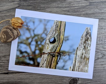 Weathered Fence Post Photo Greeting Card - Old Fence Post with Big Hole, Lichen and Barbed Wire - Country Photography - Fine Art Photography