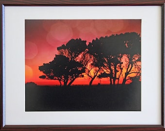 Sunset Trees Photograph, Trees Against Evening Sky at Oregon Coast, Fine Art Photography, Tree Silhouettes and Fiery Sky, Photo Print