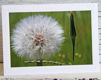 Dandelion Photo Greeting Card, Notecard for Nature Lovers, Wildflower Greeting, Fine Art Photography, Any Occasion Card, Nature Photography