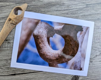 Crooked Tree Branch Photo Greeting Card - Old Tree in Yosemite National Park - Atmospheric Photo - Nature Photography - Fine Art Photography