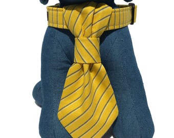 The Yellow Pinstripe  Dog Collar and Necktie Set for Small to Large Dogs