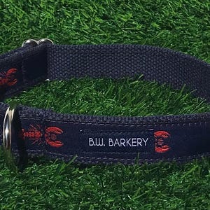 Navy and Red Lobster Webbing Dog Collar with Metal Buckle