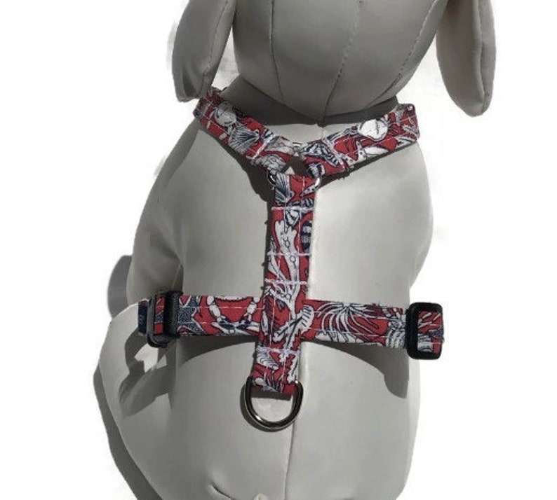 The Tide Pool Dog Harness for Small to Large Dogs image 4