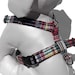 see more listings in the Dog Harnesses section