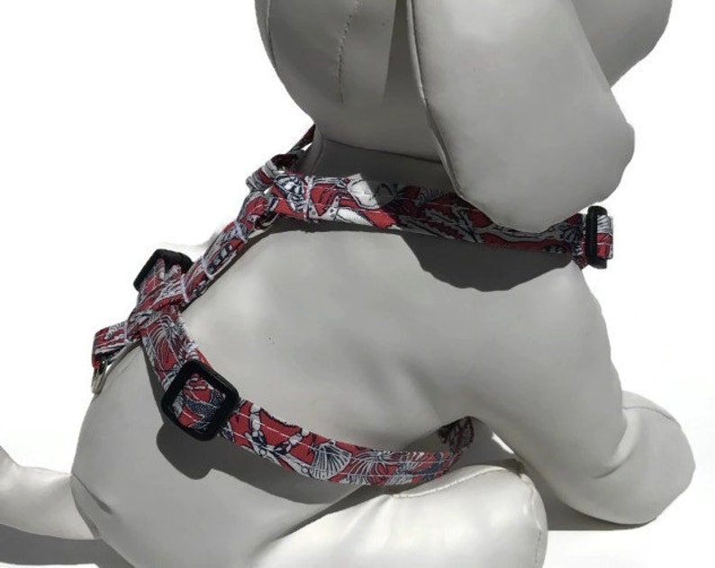 The Tide Pool Dog Harness for Small to Large Dogs image 1