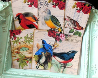 Bird Tags or Journal Spots Blue Birds Nest Eggs Roses Gift Tags or Note Cards use for Mini Albums Junk Journals Scrapbooks