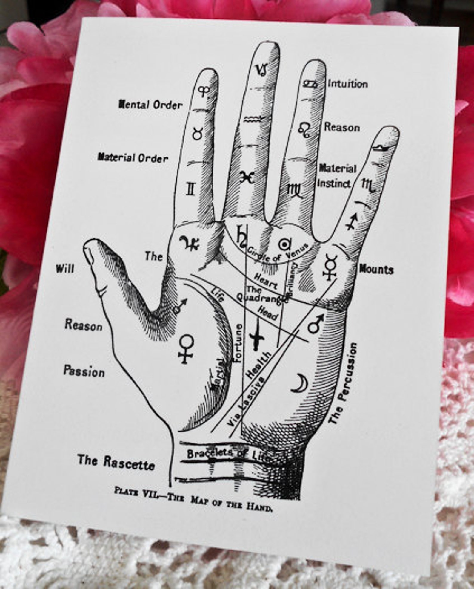 Fortune Teller Note Cards Palmistry Hand Fortune Teller Occult Etsy
