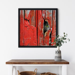 Cat Diamond Painting Kit: 5D Full Round Drill, Barn Cat Design (12x12)