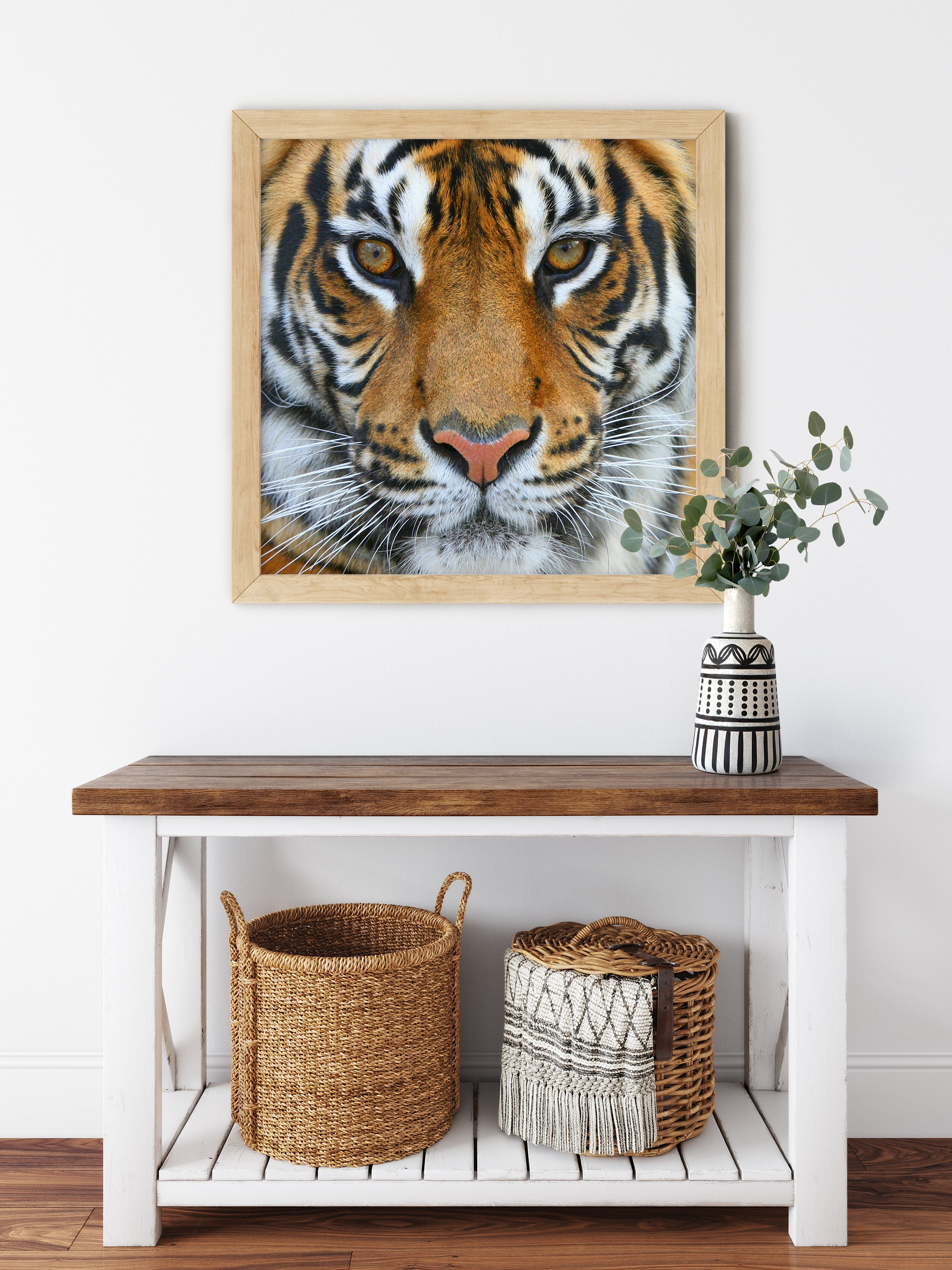 SHICERNHJ Cat Diamond Painting Kits For Adults DIY Costa