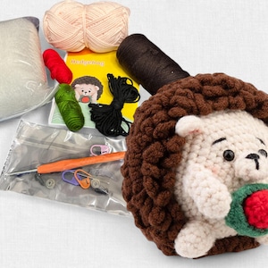 Hedgehog  Crochet Kit For Beginner | Step-by-Step Video Tutorial | DIY Home Decoration Craft Valentine Gift Idea Red Flower