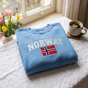 刺繍入りヴィンテージノルウェー国旗スウェットシャツ、レトロな90年代チームサッカーアパレル