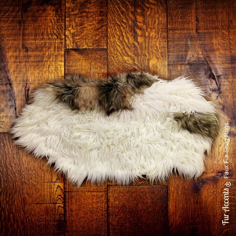 gray fur animal age gray fur animal age