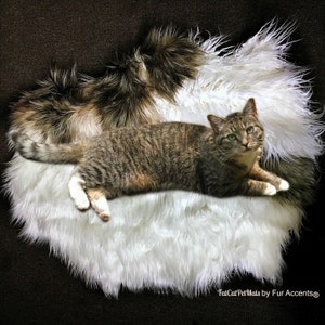 Faux Fur Sheepskin Throw Rug - Shaggy - Soft - Thick - Dog, Cat, Pet Bed - Fur Accents Designer Rugs USA