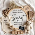 Pregnancy Announcement Digital Baby Announcement Gender Neutral Social Media Reveal Keeping a Secret Gender netural
