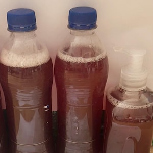 May include: Two clear plastic bottles with blue screw-on caps filled with a dark brown liquid and a layer of foam at the top, positioned next to a clear plastic pump dispenser bottle containing the same dark brown liquid with foam.