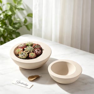 May include: Two matte cream-colored ceramic bowls with a rounded, asymmetrical design. One bowl is filled with a cluster of small, multi-colored succulent plants. A small white rectangular card with the word Yesterday printed on it is nearby.