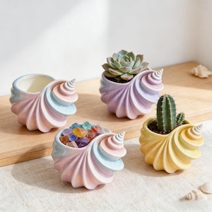 May include: Four ceramic seashell-shaped planters in pastel gradients. One is empty, one holds a green succulent, one contains colorful translucent stones, and one holds a small green cactus. The shells feature spiral ridges and soft pink, blue, and yellow hues.