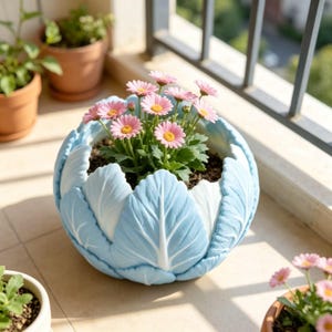 May include: A light blue, cabbage-shaped ceramic planter filled with pink daisies. The planter has a detailed leaf design and sits on a balcony. Other terracotta pots with plants are visible in the background.