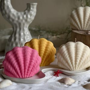 May include: A collection of seashell-shaped candles in various colors, including pink, yellow, and cream. The candles are displayed on a white surface with a starfish and seashells, creating a beachy theme. A white decorative vase is in the background.